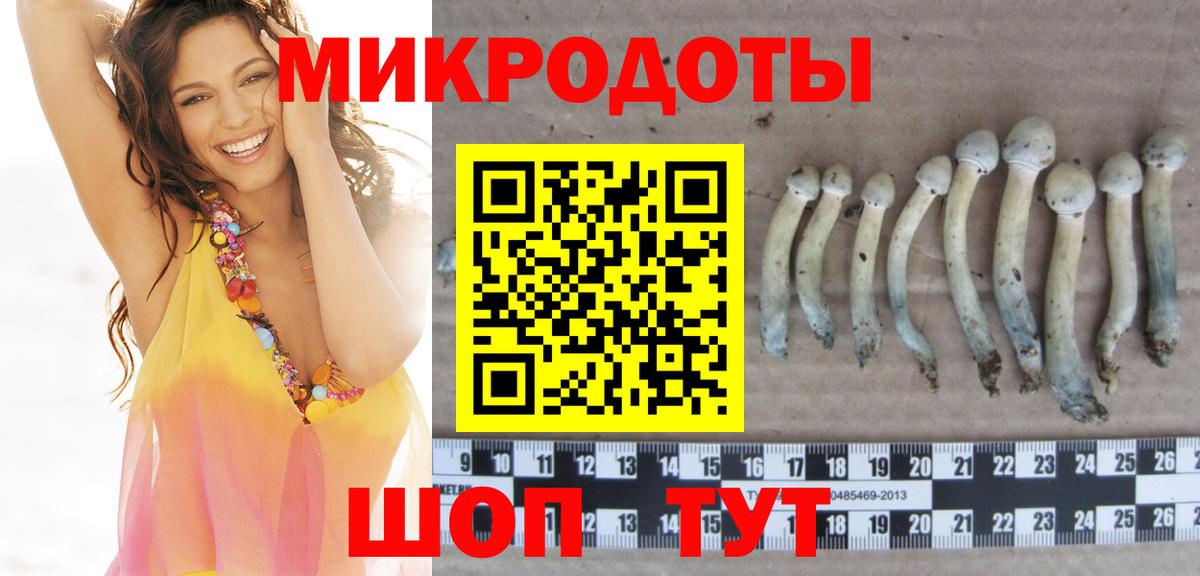 Псилоцибиновые грибы прущие грибы  Вход с VPN  Грязи  Галлюциногенные грибы Psilocybine cubensis 